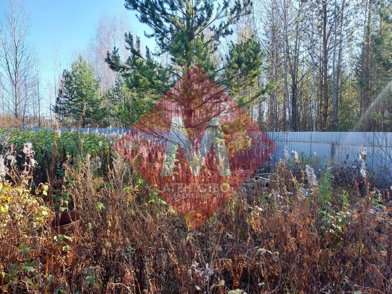 Объект 119817149