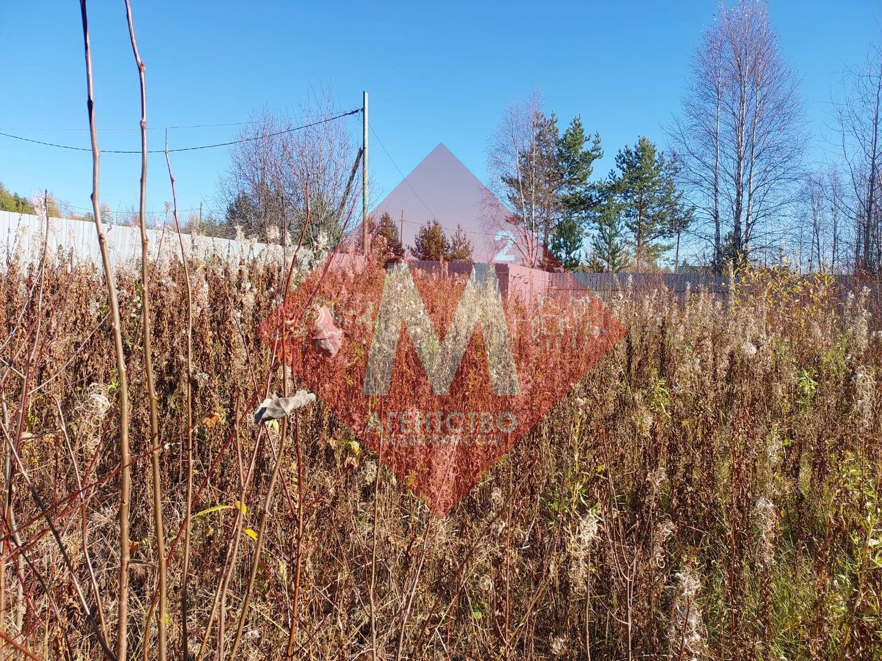 Объект 119817149