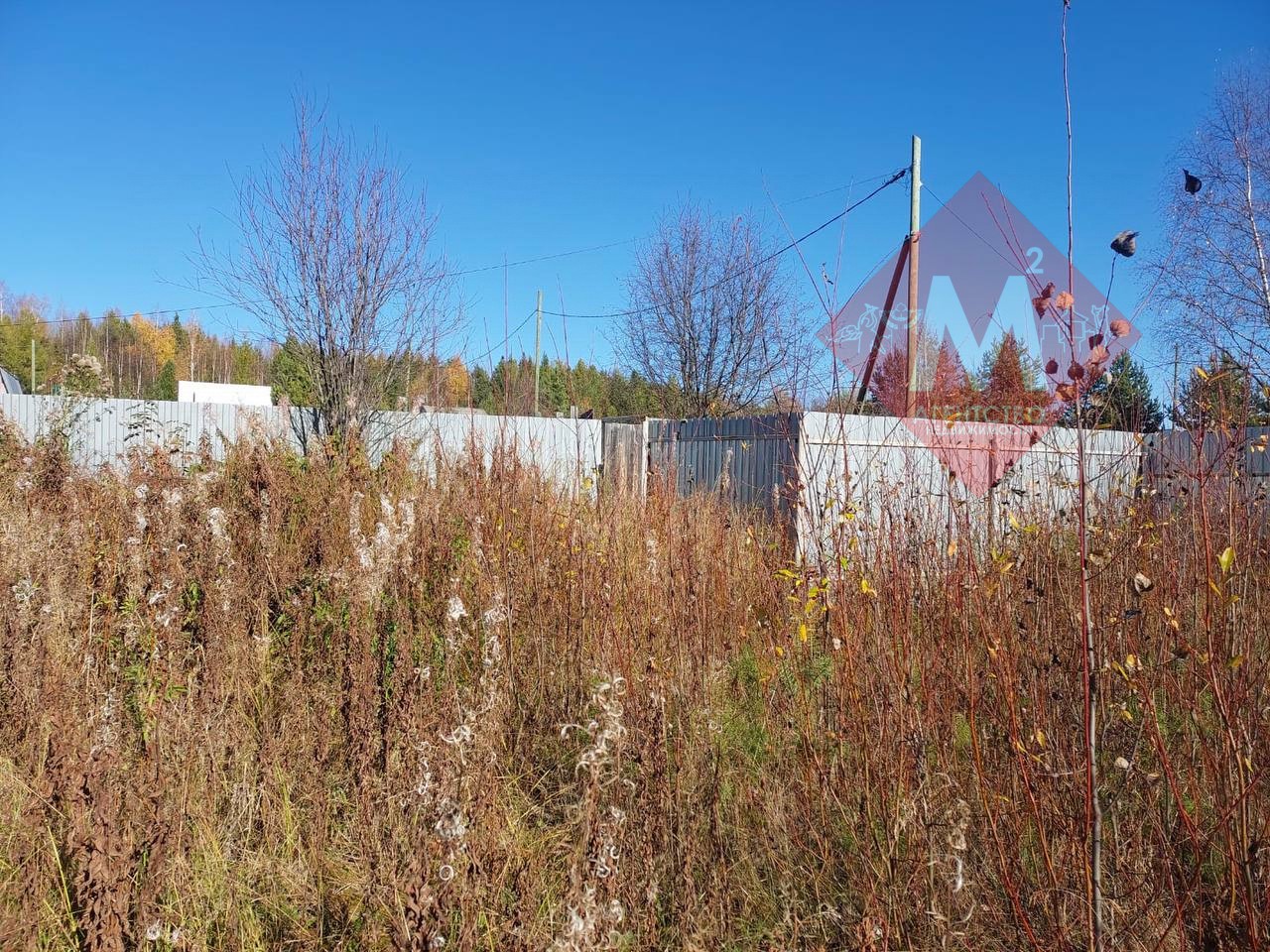 Объект 119817149