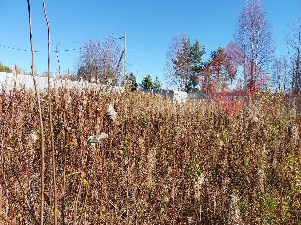 Объект 119817149