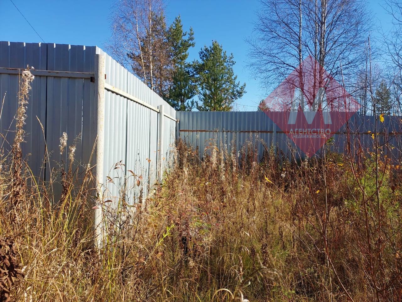 Объект 119817149