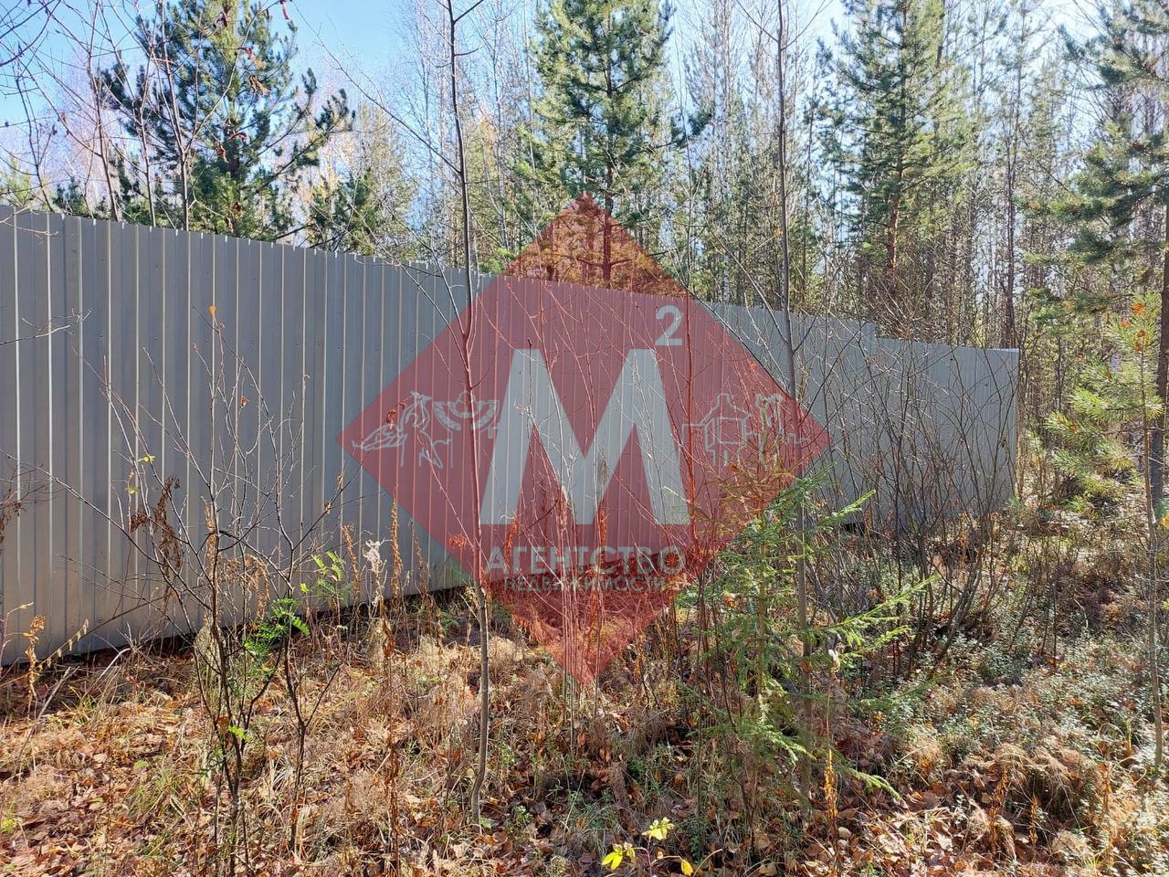 Объект 119817149