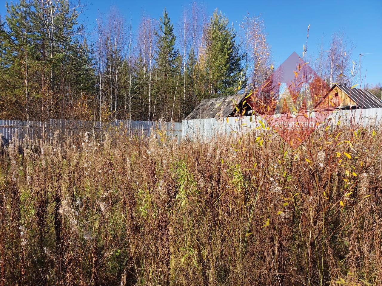 Объект 119817149