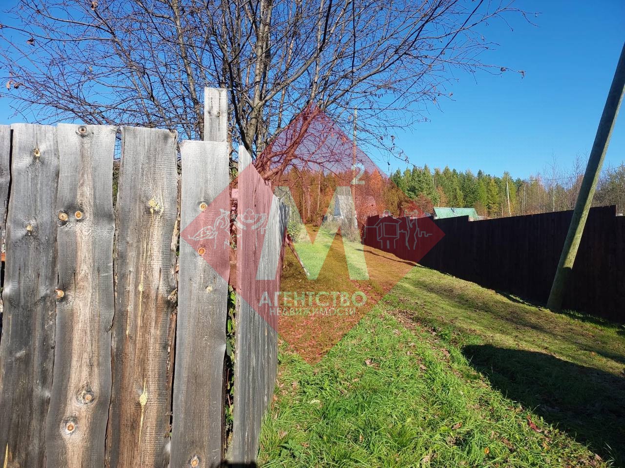 Объект 119817149