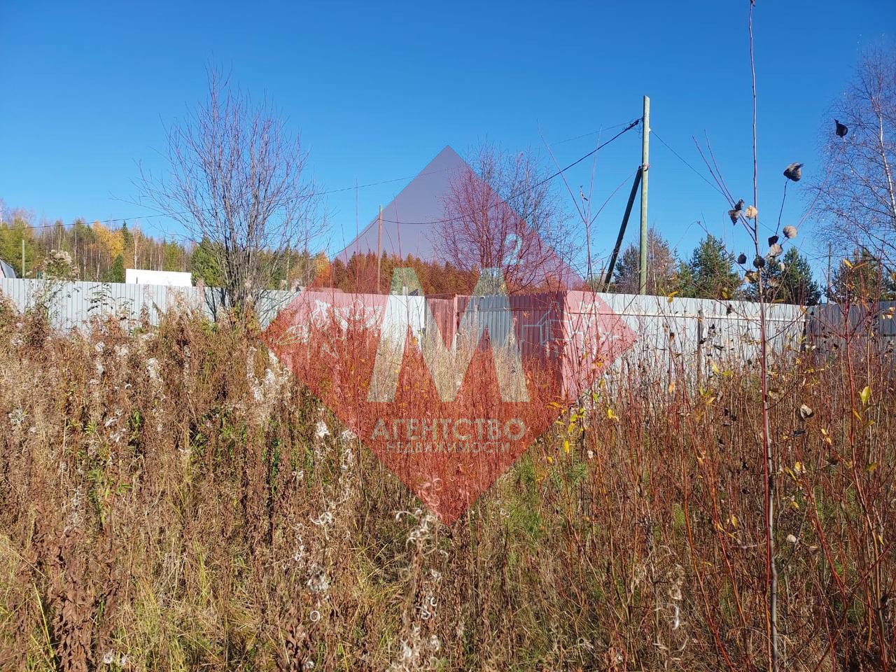 Объект 119817149