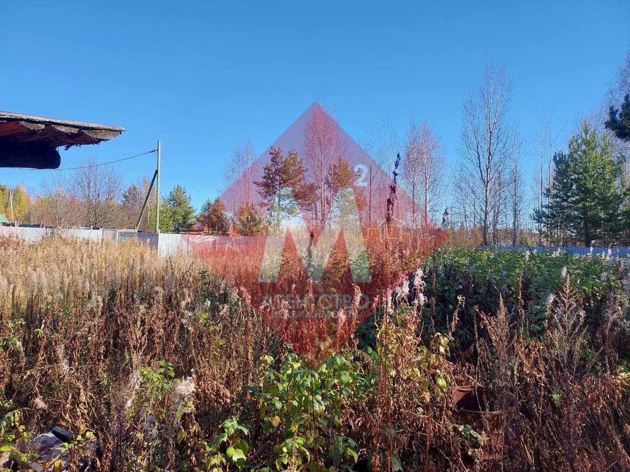 Объект 119817149