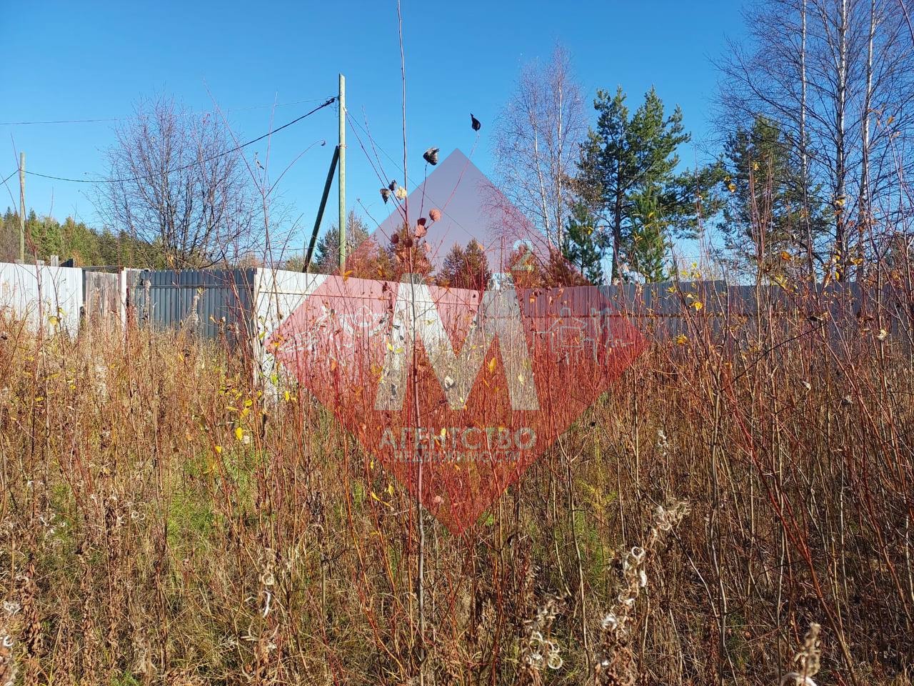 Объект 119817149