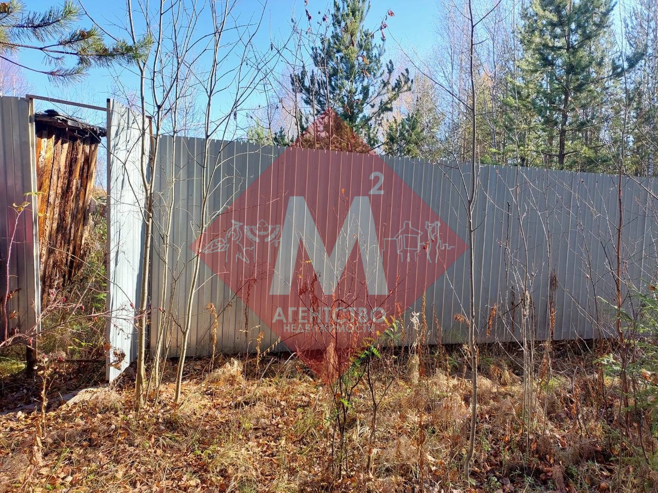 Объект 119817149