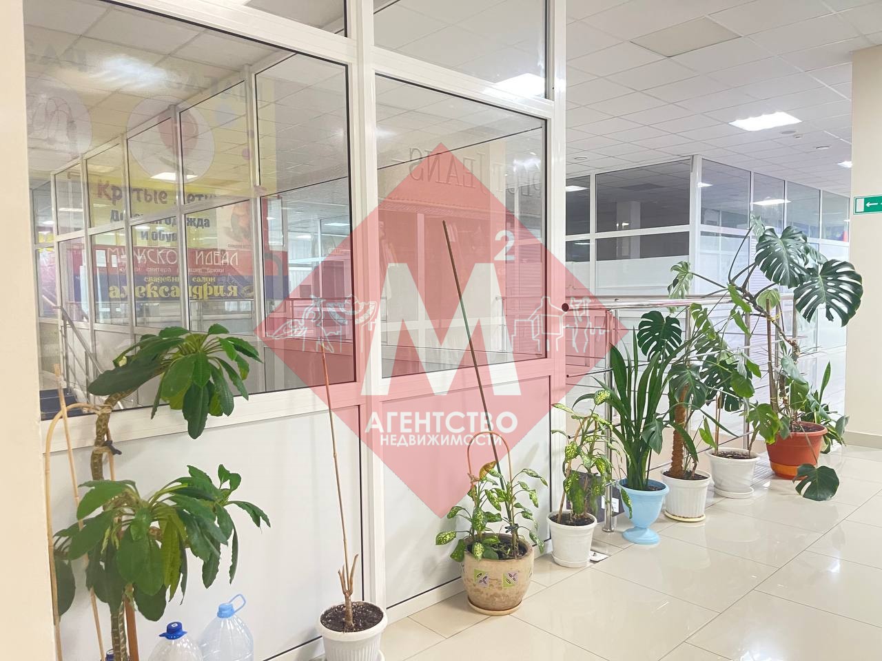 Объект 128716302