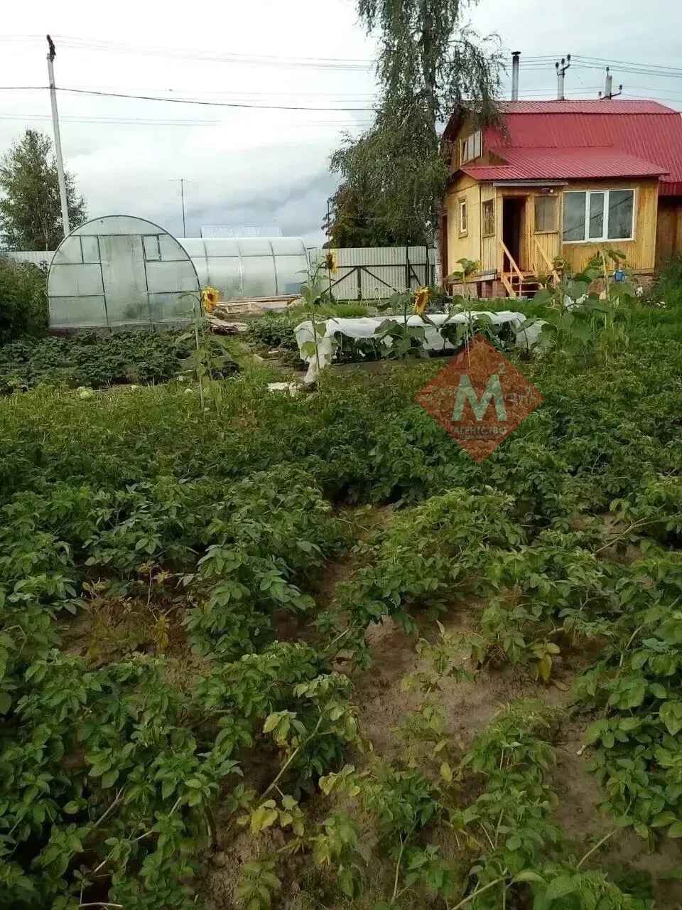 дача № 133432088