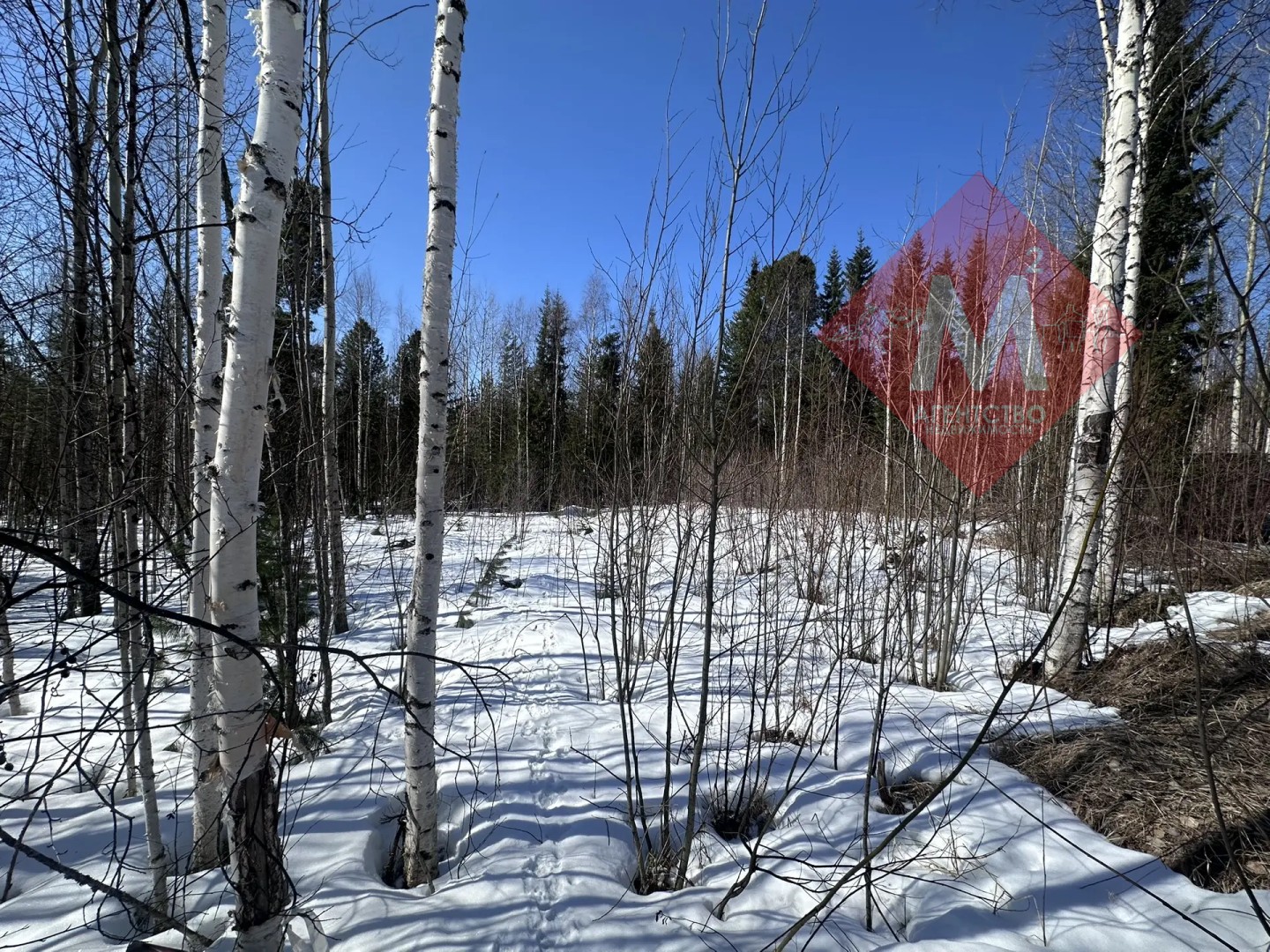 дача № 134881416