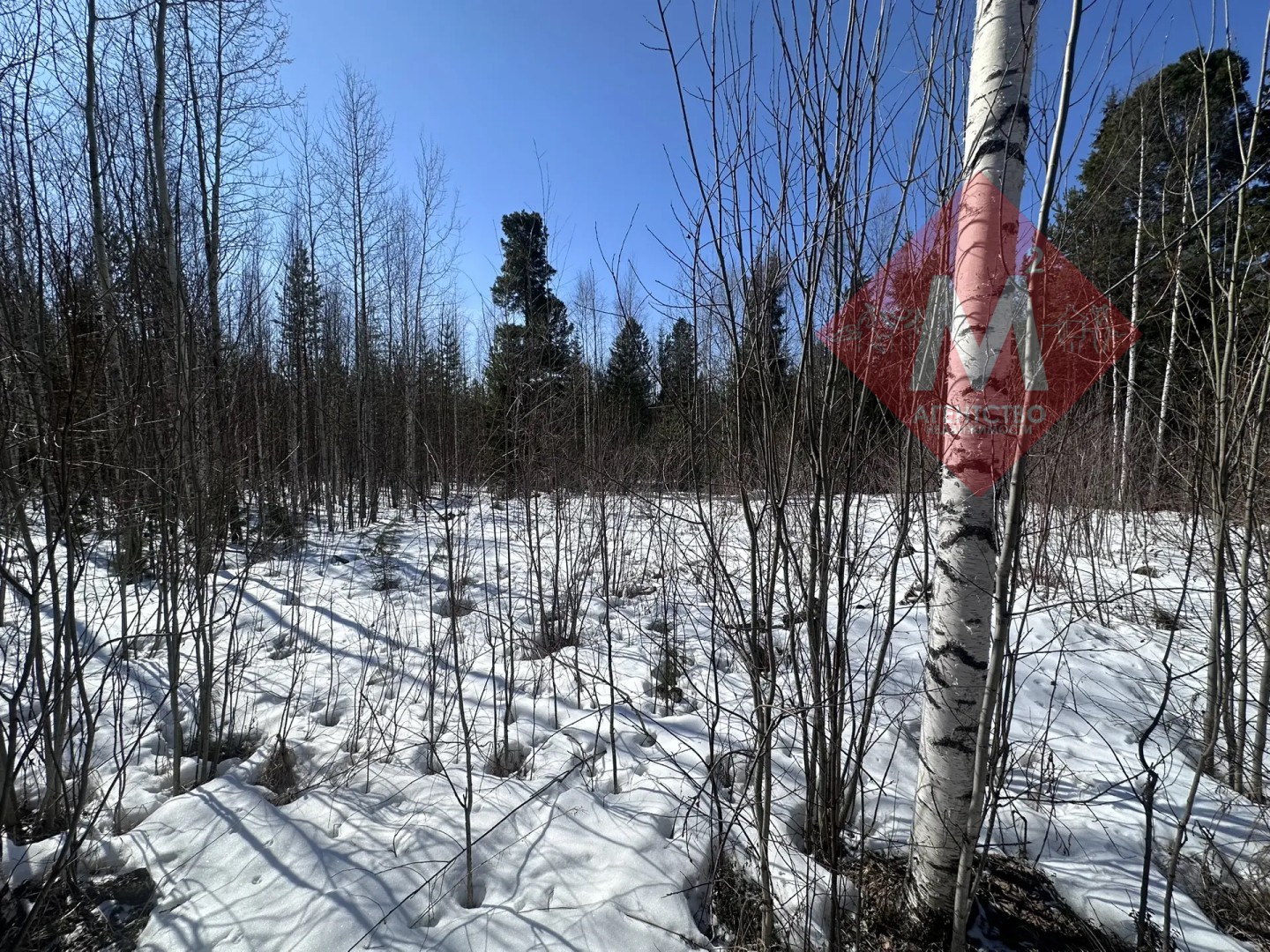 дача № 134881416