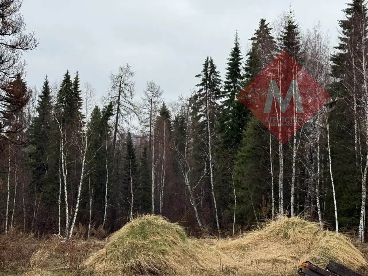 дом № 136029248