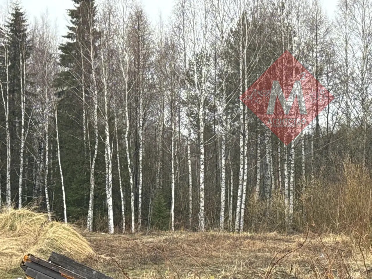 дом № 136029248
