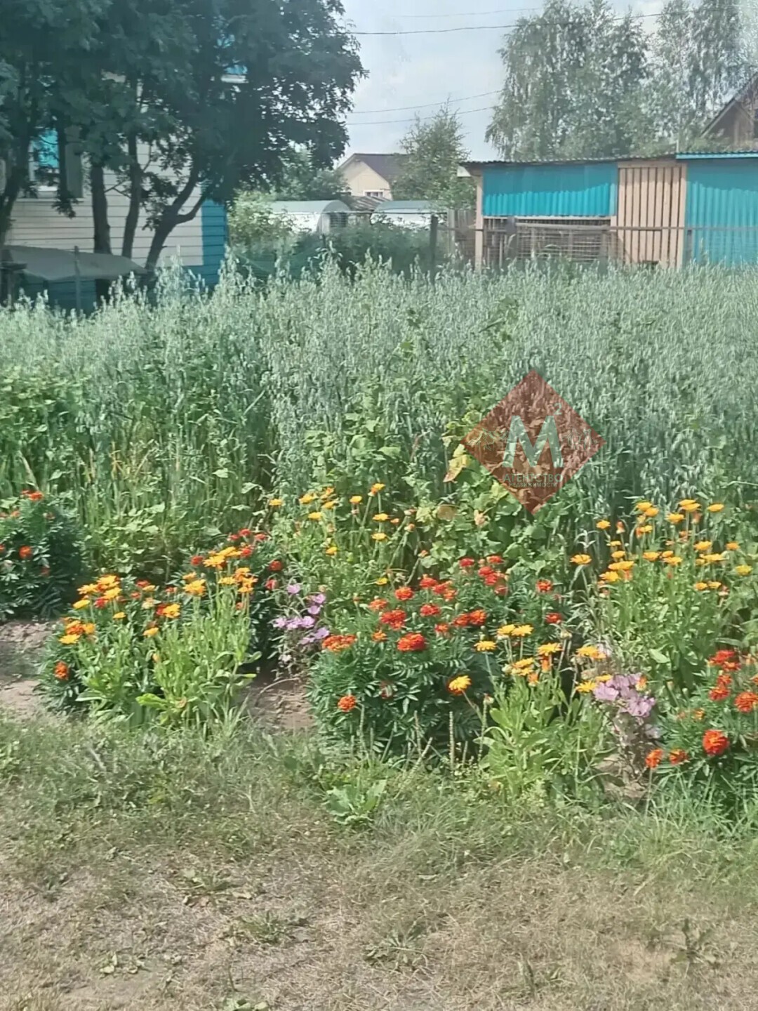 дача № 140253159