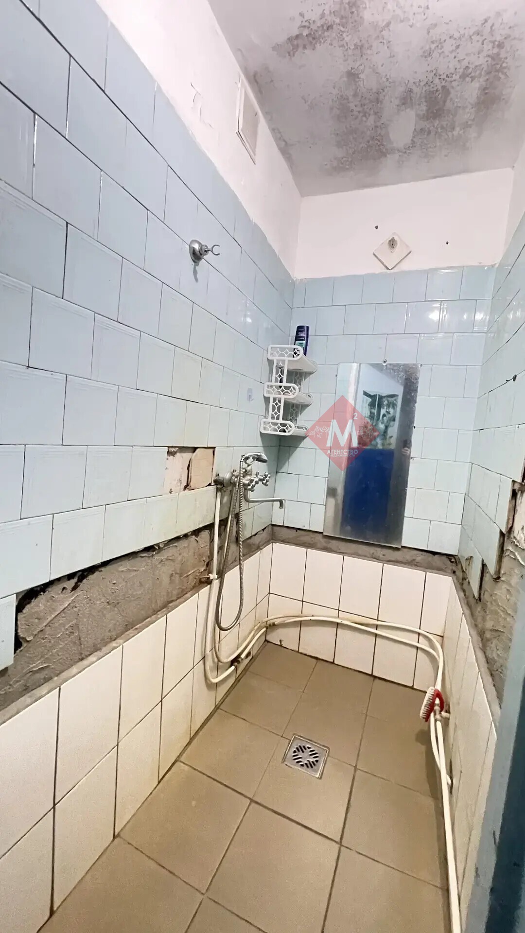 комната № 146413949