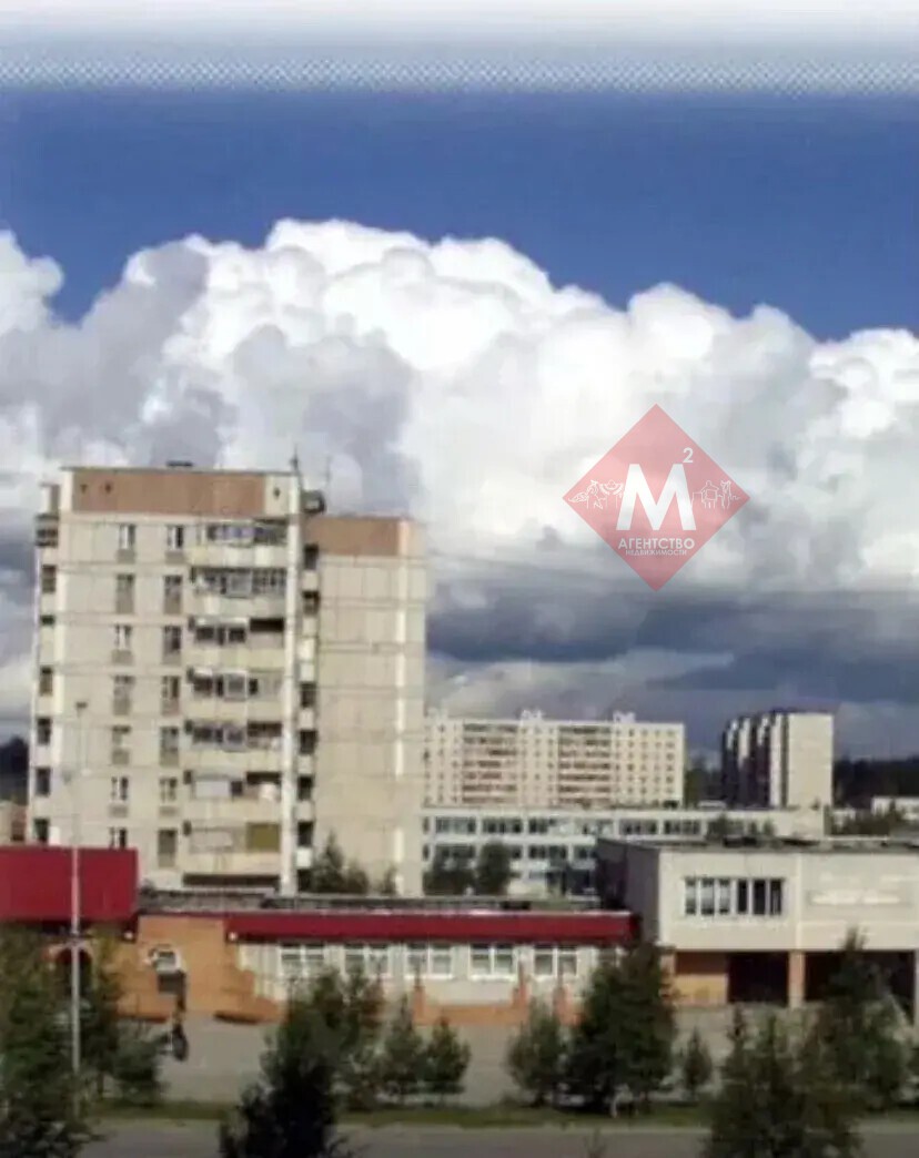 квартира № 146860000